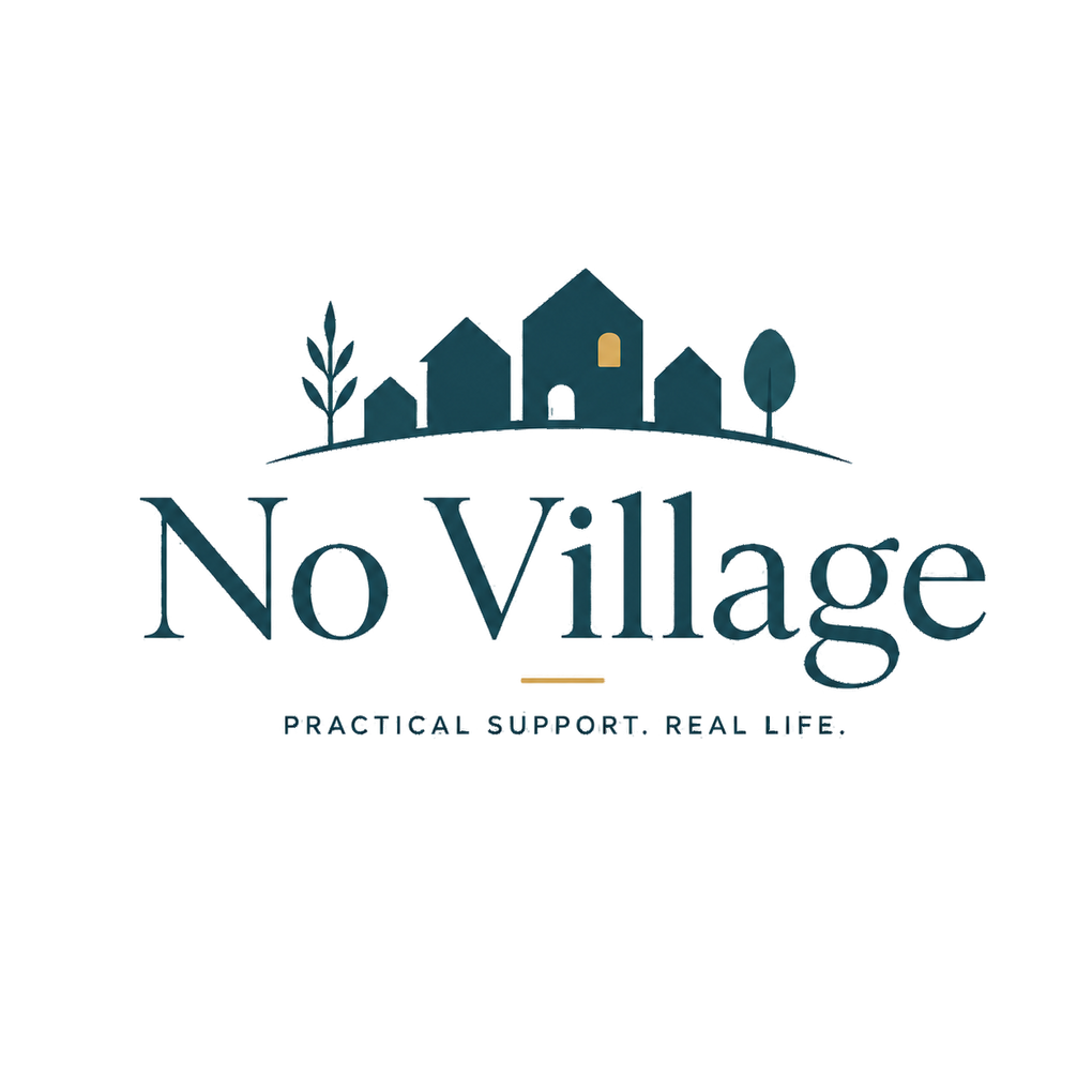 When You Don't Have a Village book cover by Abigail Daniels